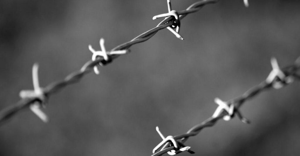 Black and white macro shot of barbed wire, blurring the background for an abstract feel.